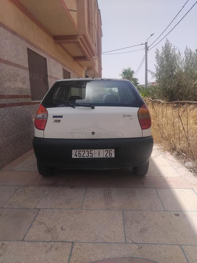 palio 