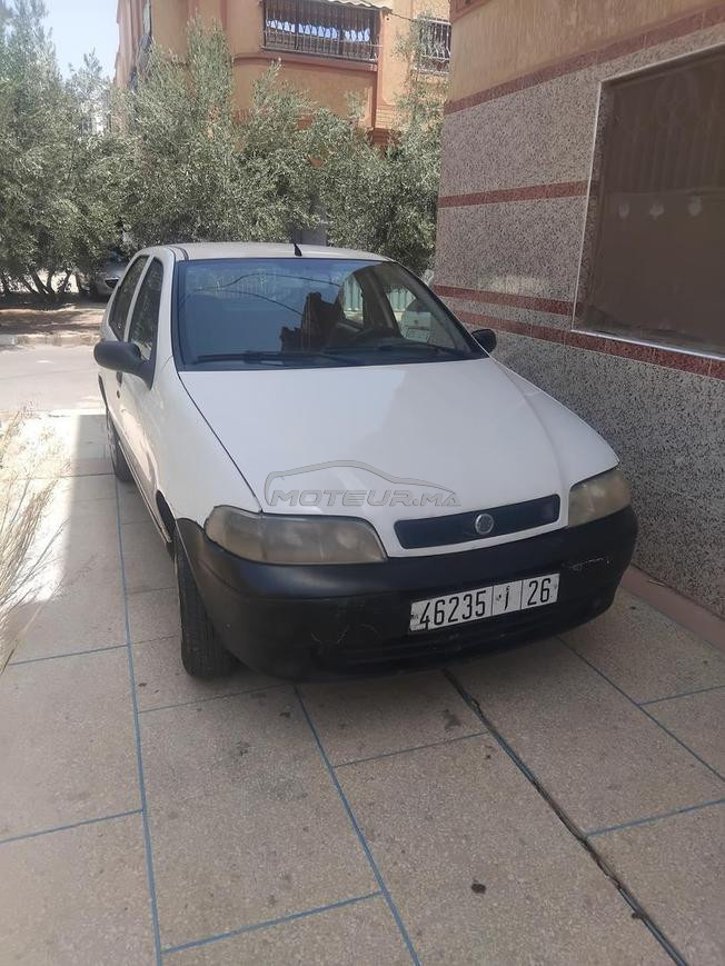 palio 
