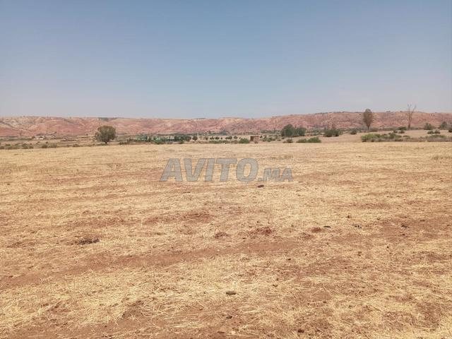 Ter titre 5ha lamaaziz Tiflet