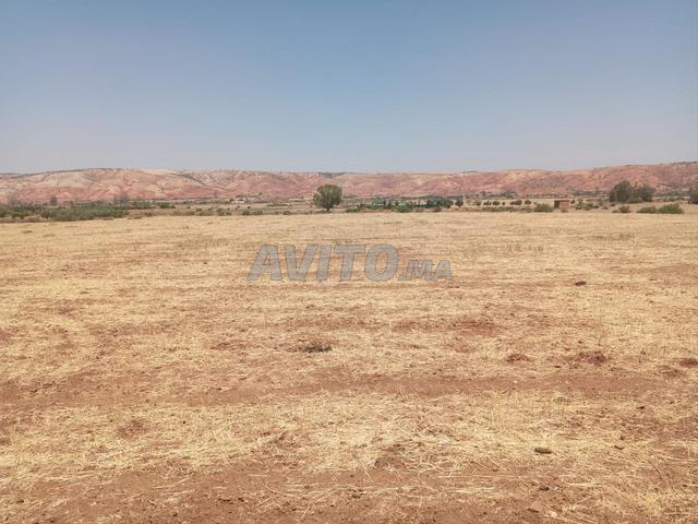 Ter titre 5ha lamaaziz Tiflet - 2