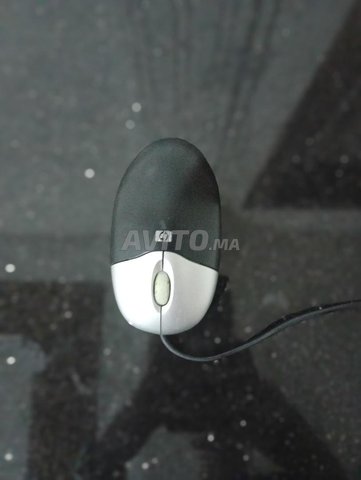فأرة hp سلكية 