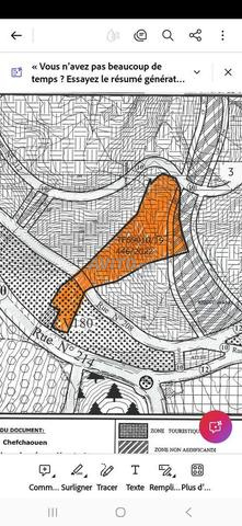 beau terrain pour un projet touristique  - 2