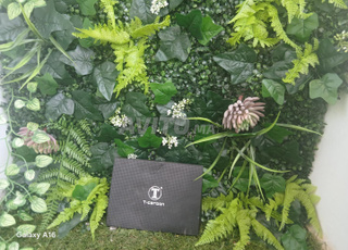 Palais de voiture Volkswagen golf 