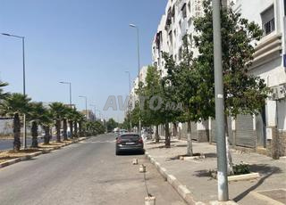 Bureau / Appartement Neuf à Louer