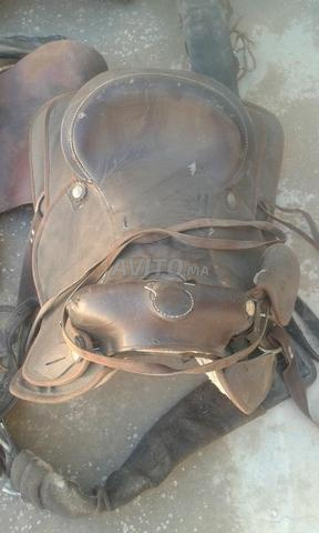 lot de selles et accessoires équitation 