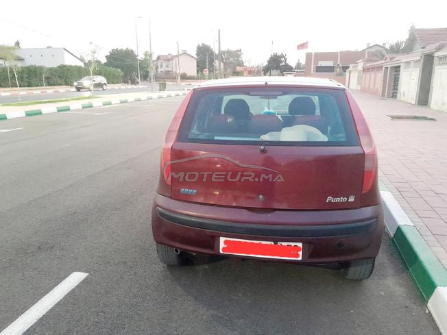 fiat  punto