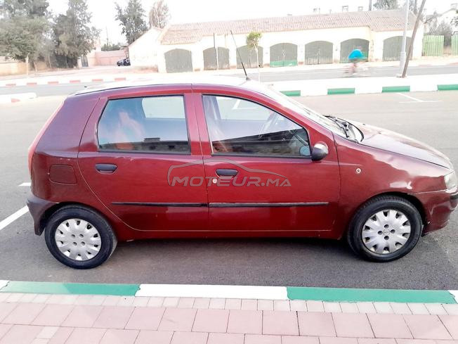 fiat  punto