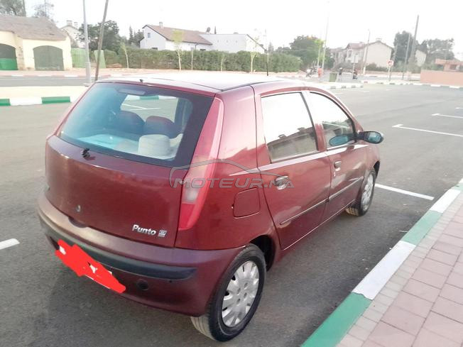 fiat  punto