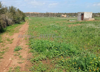 Terrain agricole et constructible de 8333 m² titré
