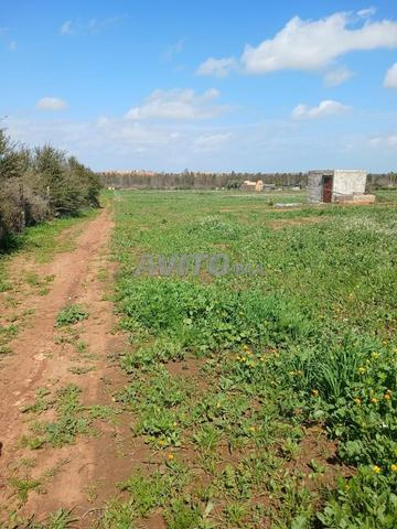 Terrain agricole et constructible de 8333 m² titré