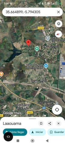 عين دالية كوارت المهارزة 