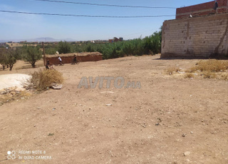  قطعة أرضية فلاحية بمساحة 393 متر مربع–عين تاوجطات