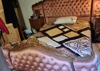 bite n3asse ba9i bonita