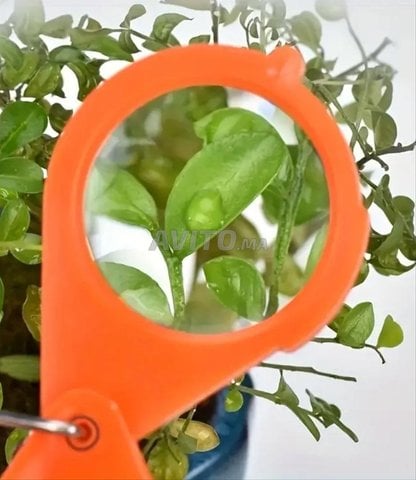 Loupe Haute définition 