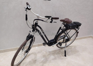 velot electric cadre alluminum bitwin