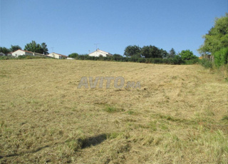 terrain à ventre el borouj