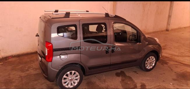 fiat firino 2024