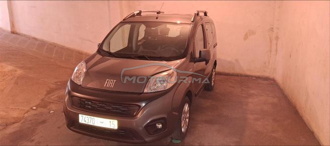 fiat firino 2024