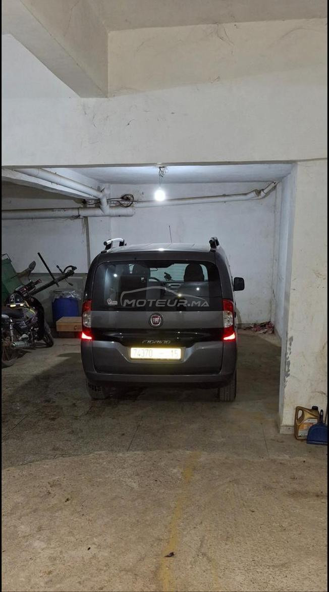 fiat firino 2024