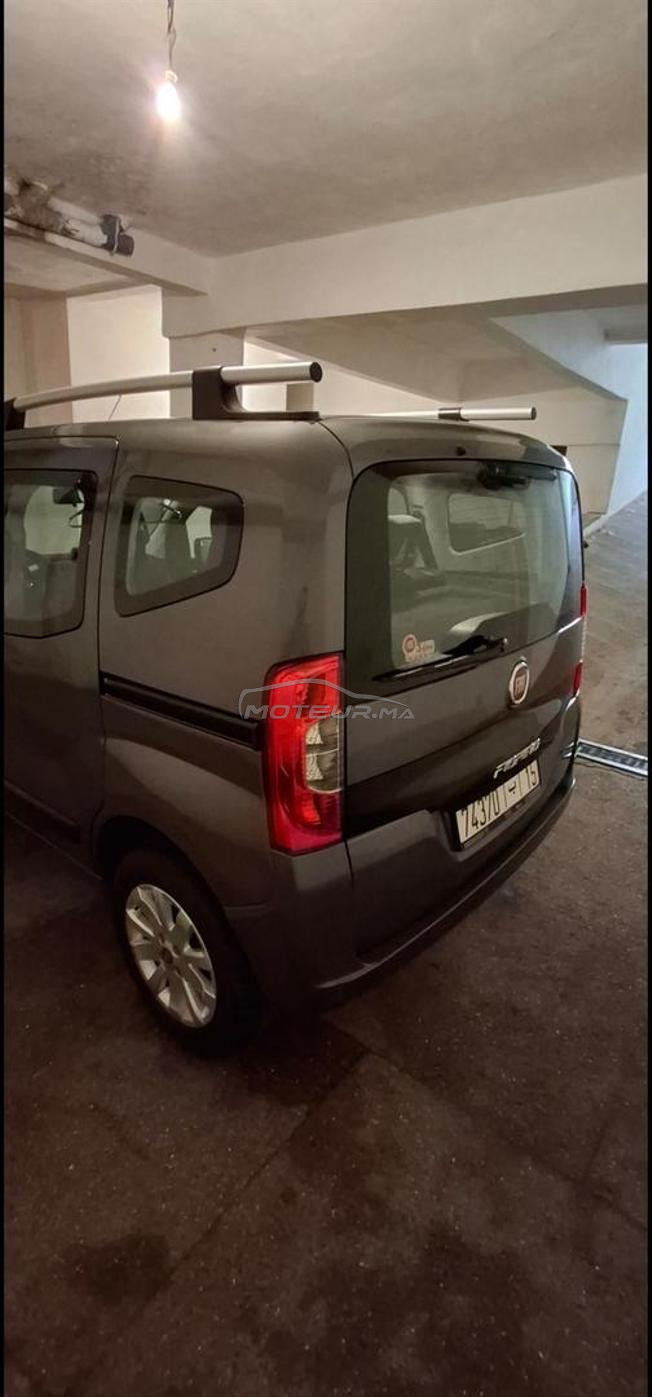 fiat firino 2024