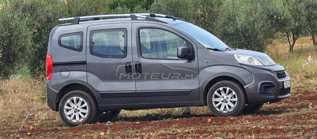 fiat firino 2024