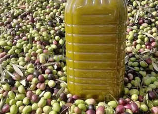 زيت الزيتون.