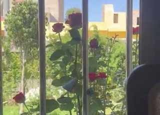 maison 🏠 individuelle et jardin