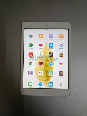 iPod Mini 2 / 16GB