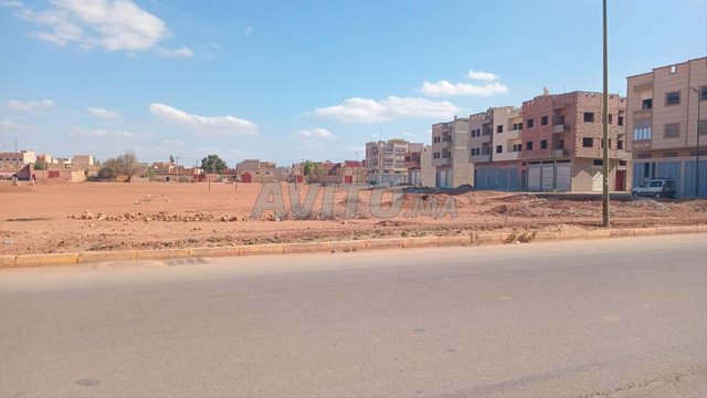 terrain titré loti à souk sebt ouled nemma 