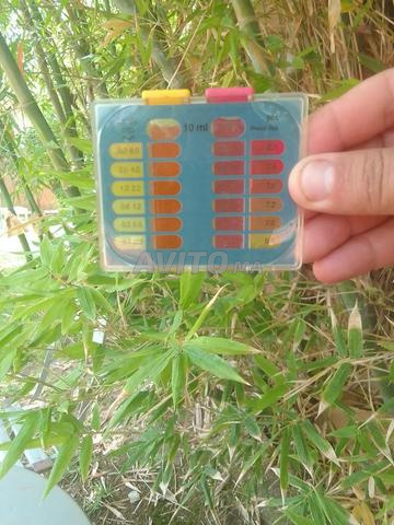 chafour jardinage nettoyage de piscine  - 2