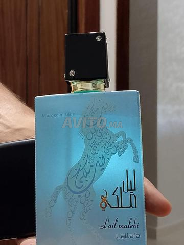 Lail Maleki Moroccan Blue
