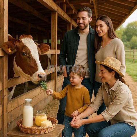 Louez un box pour votre vache 