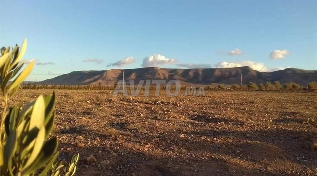 Ferme Malkiya Titre 1,2 Sidi Moussa a Vendre