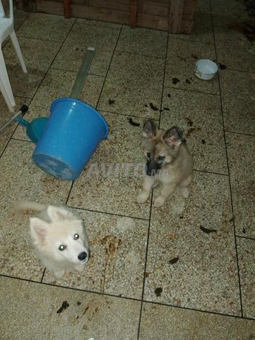 Appartement à vendre 1 m² à Marrakech