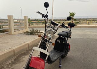 CityCoco EEC electric scooter