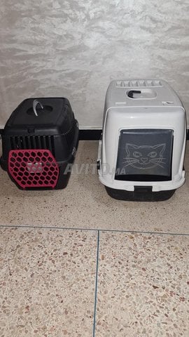 2 cage pour chat et chien 
