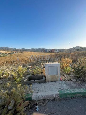 lot ( mini villa ) à vendre à Taza - 2