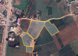 3 lots de terrain a vendre (zone urbaine, Titré)