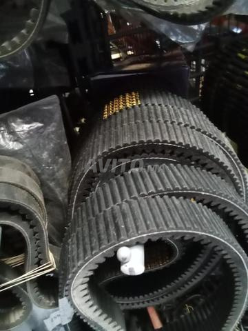 Courroie d'entraînement pour Cfmotor - 2