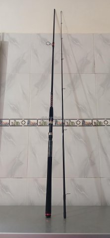 Canne spinning, moulinet et leurres de pêche 