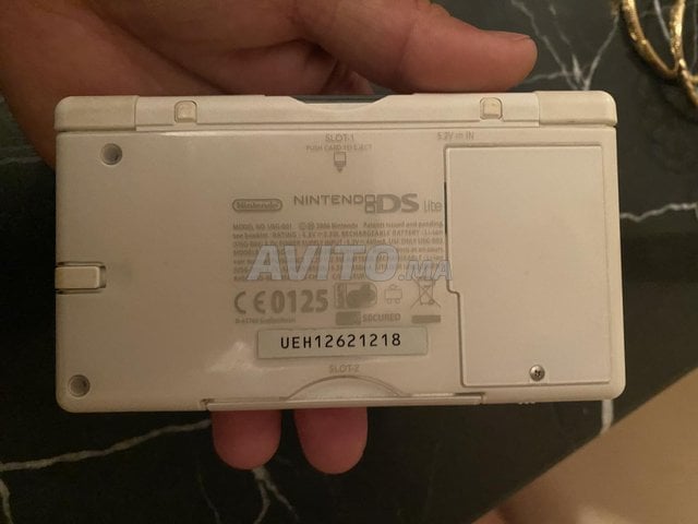 nintendo ds lite
