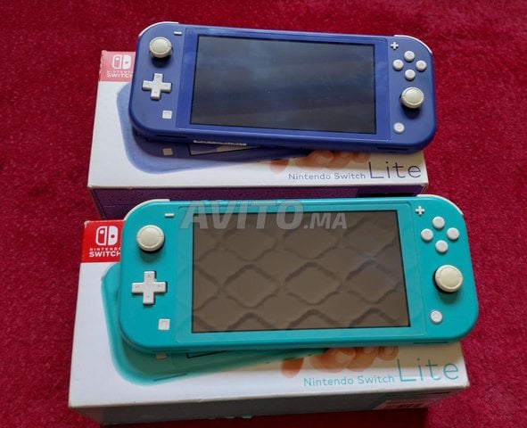 Nintendo Switch Lite flashé 
