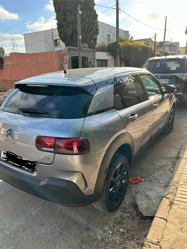 C4 cactus - Automatique - Octobre 2020