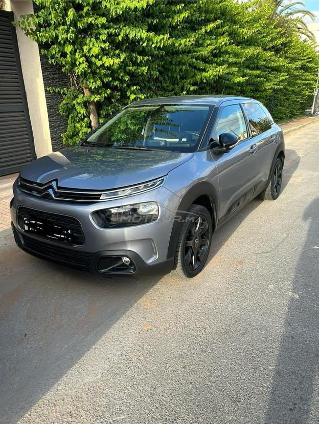 C4 cactus - Automatique - Octobre 2020