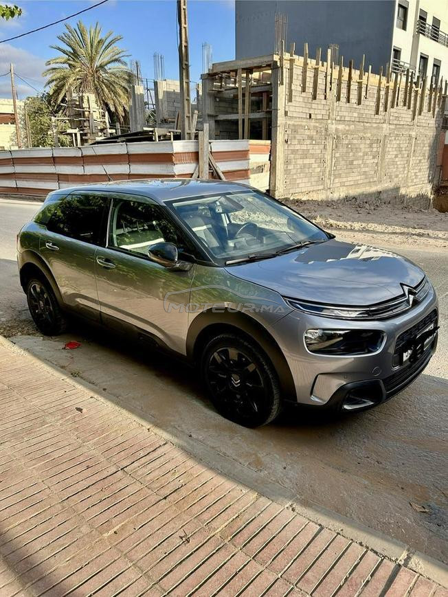 C4 cactus - Automatique - Octobre 2020