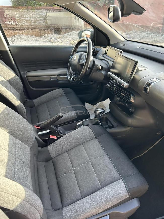 C4 cactus - Automatique - Octobre 2020