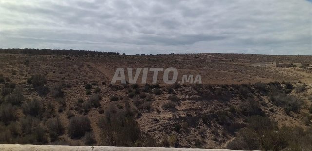 للبيع في دوار شيشت / Terrain à vendre Douar Chicht