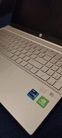 HP pavilion 1165g7 500G
