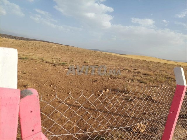 أرض فلاحية محفظة قرب الطريق – بومية