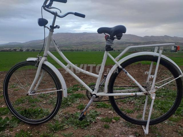 Pikala (vélo de ville hollandais - 2